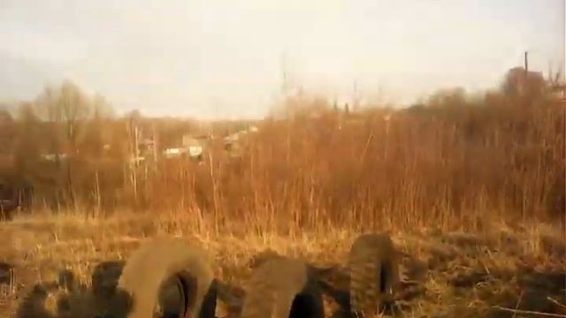 как я строил паркур парк часть1 смотреть онлайн