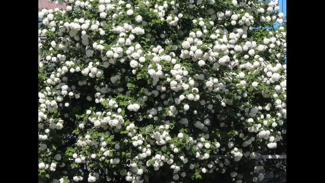 Любимых не бросают (часть 3) смотреть онлайн