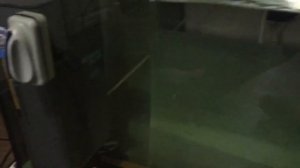 Новый аэрлифтный фильтр для аквариума и помпа течения