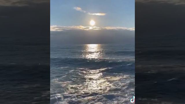 клип || 🌊 девочка и море🌊 ||~ гача клуб~ смотреть онлайн