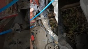 Пропала зарядка  Газель бизнес двигатель 4216 УМЗ.