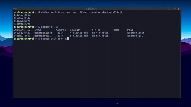 Actualiza tus Contenedores de Docker Manual o Automáticamente смотреть онлайн