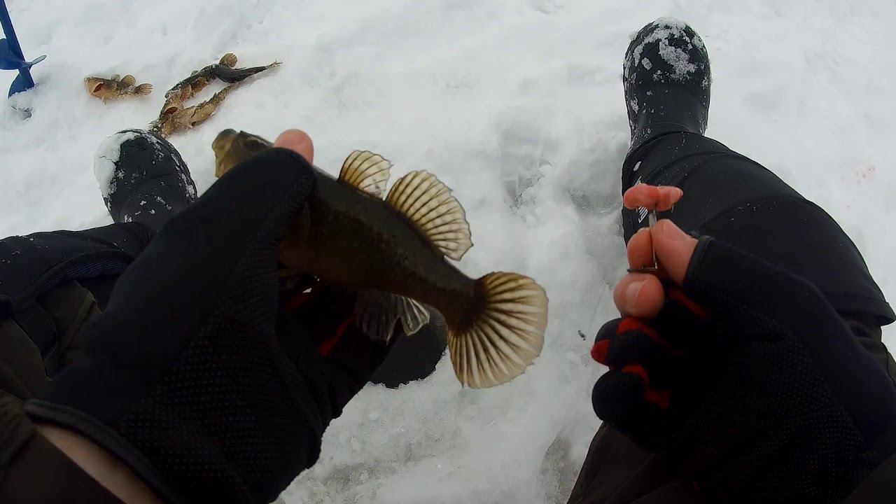 Ловля "Кабанчиков". Зимняя Рыбалка в Новый Год 2019