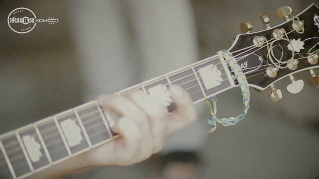 Vetka - Special // ЖИВЯКом // смотреть онлайн
