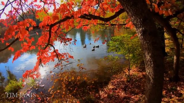 Beautiful Instrumental Hymns, Peaceful Relaxing Music, "Sunday Morning Sunrise" By Tim Janis смотреть онлайн