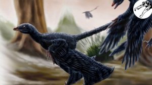 МИКРОРАПТОР | Древесный раптор