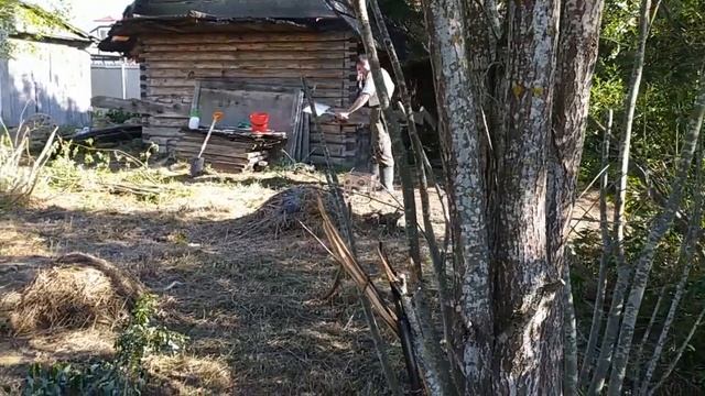Купили заброшенный участок Первые гости смотреть онлайн