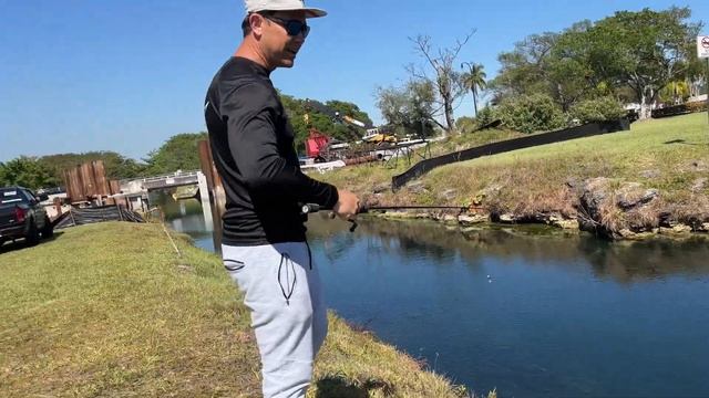Catching WILD EXOTIC AQUARIUM Fish From Canals! смотреть онлайн