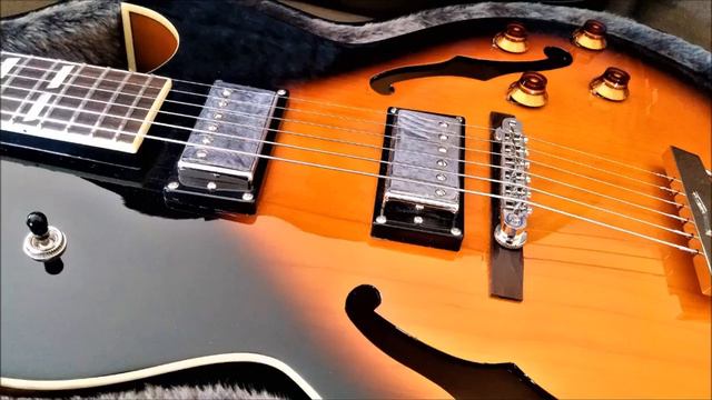 Alnico Classic™ Humbucker NECK AND BRIDGE смотреть онлайн