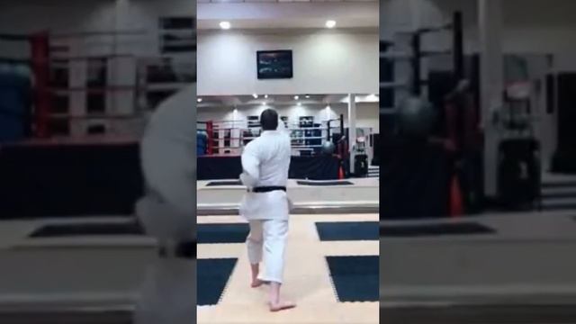 KARATE KATA / ENPI 〰️ SHOTOKAN KARATE смотреть онлайн