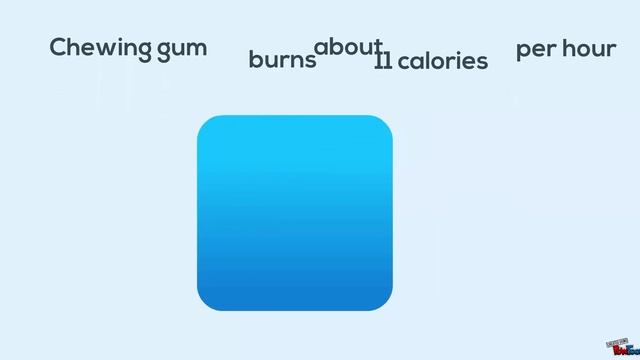 10 Amazing Facts With The Present Simple Game And Lesson