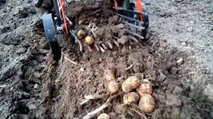 Мотоблок  МТЗ  и  моя первая копка  картофелекопалкой КМ-1 .Доработки. 1 ЧАСТЬ