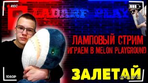 СТРИМ НА КАНАЛЕ LADARF PLAY. ЗАХОДИ, ИГРАЕМ МELON PLAYGROUND, ОБЩАЕМСЯ.
