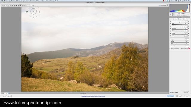 LBV - Pincel de ajuste en Adobe Camera Raw смотреть онлайн