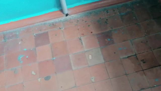 Черви в подъезде тайшетского дома смотреть онлайн