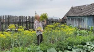 ОДНА НА ХОЗЯЙСТВЕ/ВЫКОПАЛИ НОВУЮ ВЫГРЕБНУЮ ЯМУ/ПОРЯДОК В ОГОРОДЕ И НА КУХНЕ