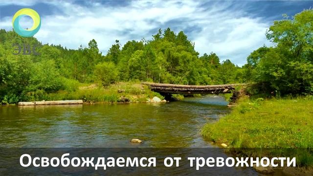ЭВС#05. Освобождаемся от тревожности и страхов. смотреть онлайн