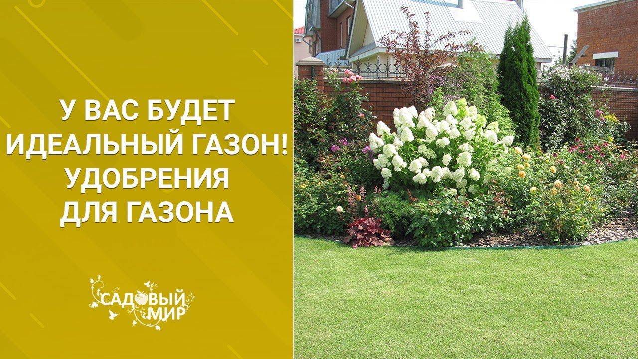 Идеальный газон как у англичан своими руками! Удобрения для газона смотреть онлайн
