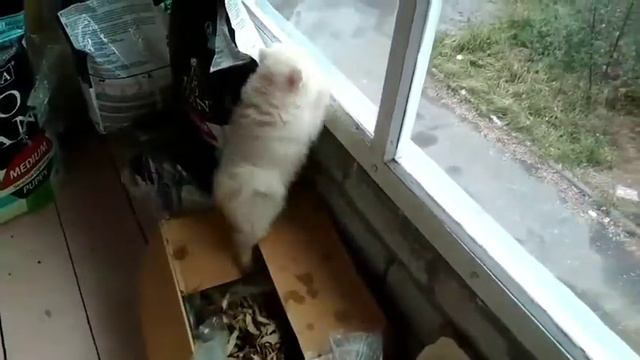 На складе с едой. Тепло мухи не кусают. Но за окном свобода смотреть онлайн