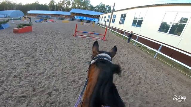 ГЛУПОЕ ПАДЕНИЕ И ПРЫЖОЧКИ | конкур | GoPro смотреть онлайн