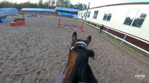 ГЛУПОЕ ПАДЕНИЕ И ПРЫЖОЧКИ | конкур | GoPro