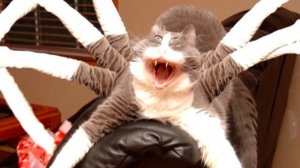 5 ДЕДОВ МОРОЗОВ СНЯТЫХ НА КАМЕРУ ч3 [Черный Кот]