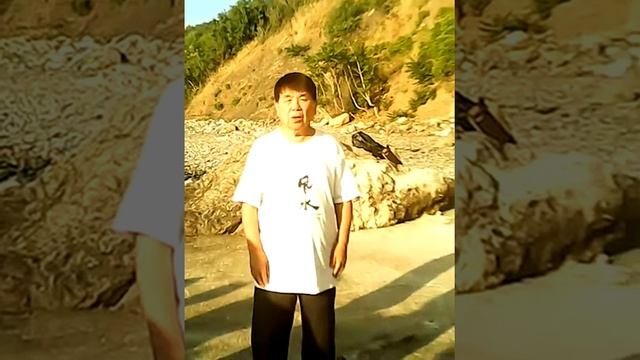 6 Healing Sounds - 6 исцеляющих звуков смотреть онлайн