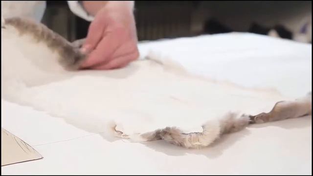 Пошив меховых покрывал из натурального меха смотреть онлайн