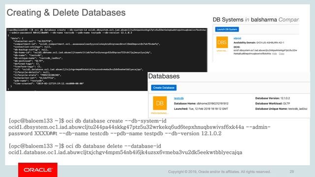 _Exadata Cloud Service API CLI (old) смотреть онлайн