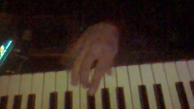 aylin muzikanta-pravo horo 2010.mp4 смотреть онлайн