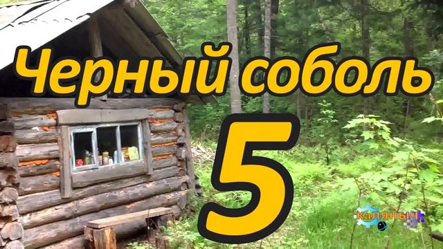 ТАЙГА. Черный соболь 5 из 7 смотреть онлайн