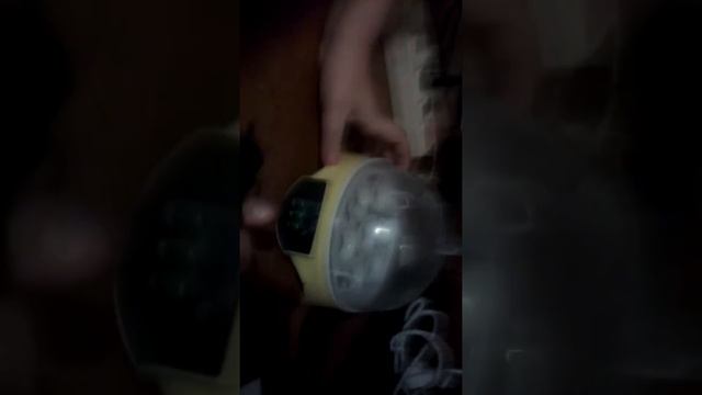 Инкубатор на семь яиц из китая смотреть онлайн