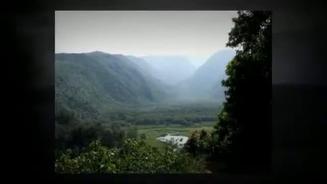 Kohala Country Adventures Guesthouse - Guest House - Kapaau, HI смотреть онлайн