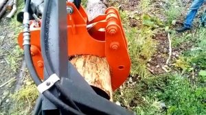 Захват трелевочный в работе Палехагромаш