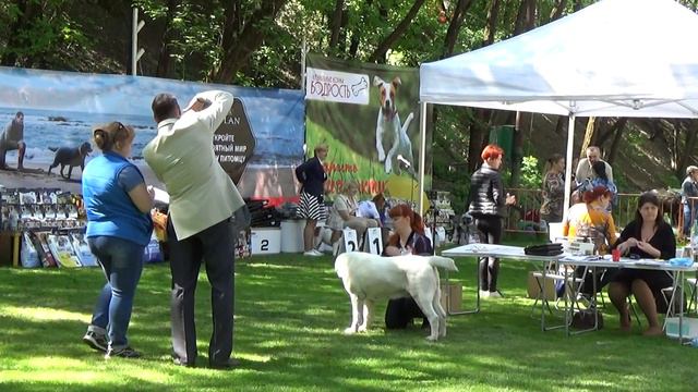 Монарх 01.05.2018. Эксперт Горбачевский Олег. Виджая 2 смотреть онлайн