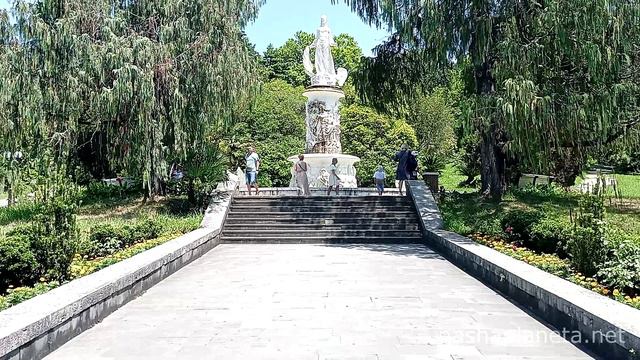 Гуляем по сочинскому дендрарию – самое красивое место в Сочи смотреть онлайн