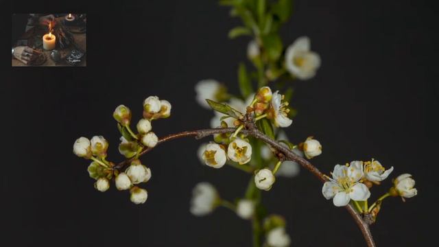 Музыка Для Медитации И Снятия Стресса. смотреть онлайн