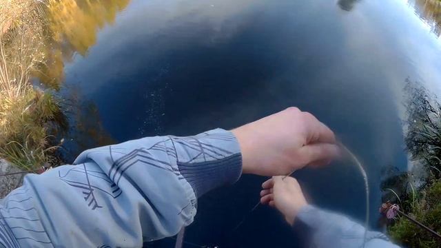 Кидаем Поисковой Магнит в приусадебный пруд. Поиск 2022 смотреть онлайн