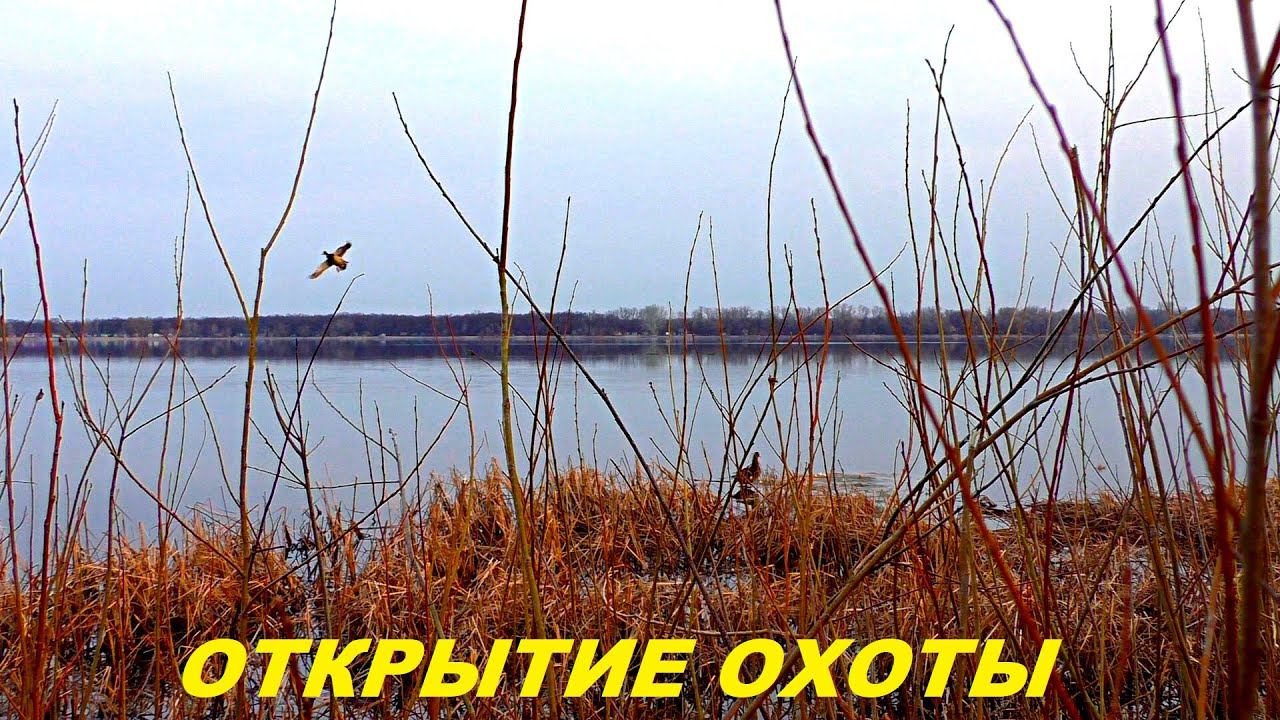 Лучшее открытие весенней охоты. Охота с подсадной / MAX HUNTER смотреть онлайн