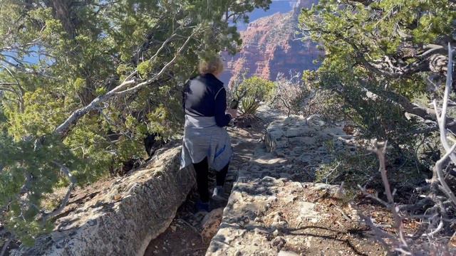 Grand Canyon's Beautiful North Rim смотреть онлайн