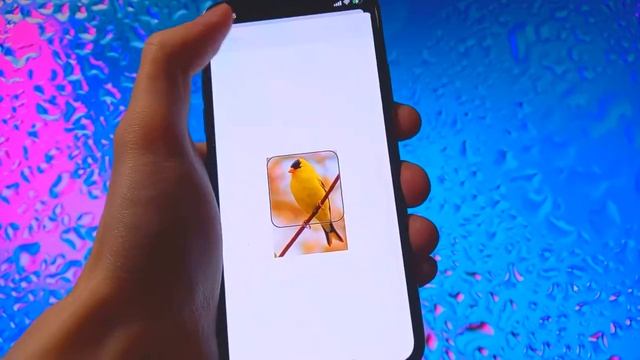 Как Установить Любое Фото на Виджет на IOS 14 смотреть онлайн