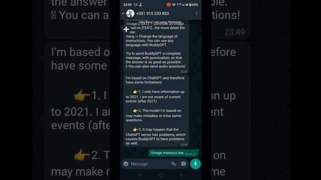 بوت جديد رقم 3 : بوت واتساب [الذكاء الاصطناعي] Whatsapp GPT AI BOT смотреть онлайн