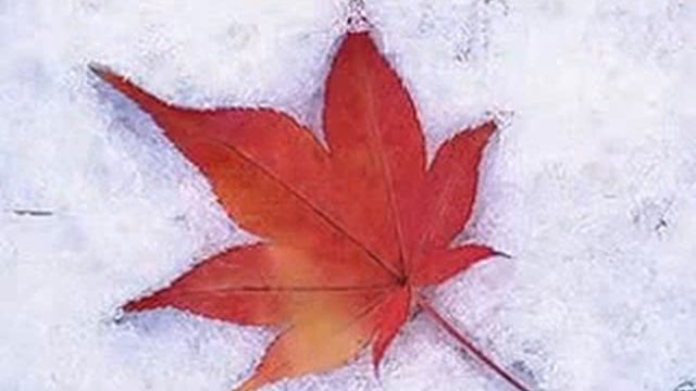 Первый снег кружит... смотреть онлайн