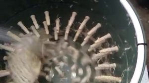Ощипка гуся в самодельной перосъемной машине