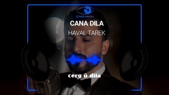 Haval Tarek - jana dila 2020 смотреть онлайн