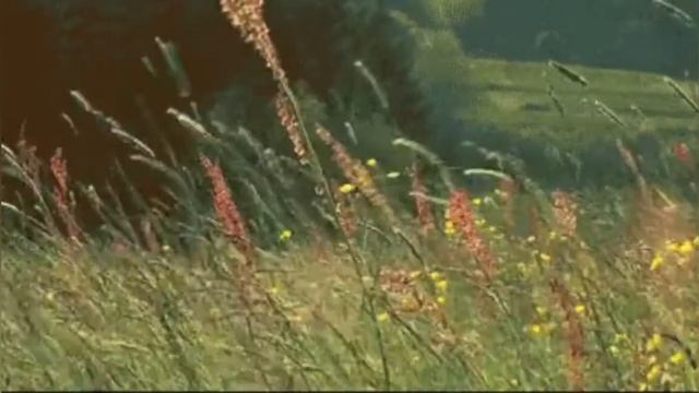 Юрий Визбор "Поведаю вам таинство одно..." смотреть онлайн