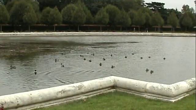 Enten im Schloss Belvedere, Wien смотреть онлайн