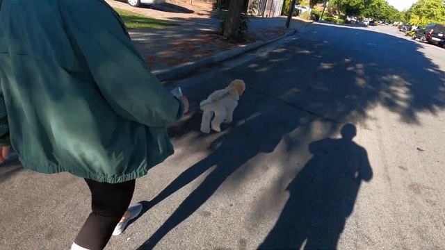 А вот, кому в карму прописать баллы хорошие? Три гринки и два ССН в одном конверте. смотреть онлайн