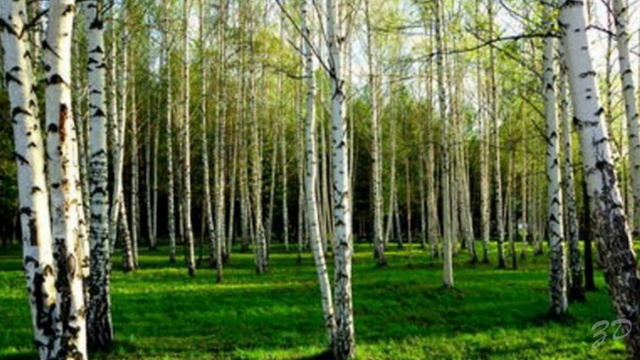 Закаты алые смотреть онлайн