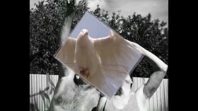 ВАЛЕРИЙ ЯРУШИН ГОЛУБЯТНИКИ смотреть онлайн